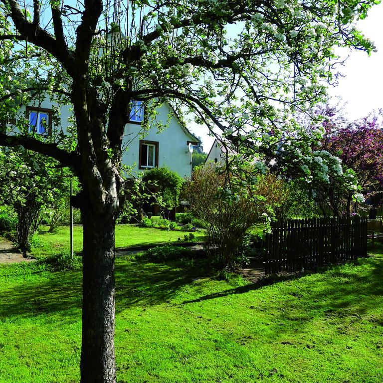 Un gîte dans la vallée Obersteinbach Extérieur photo