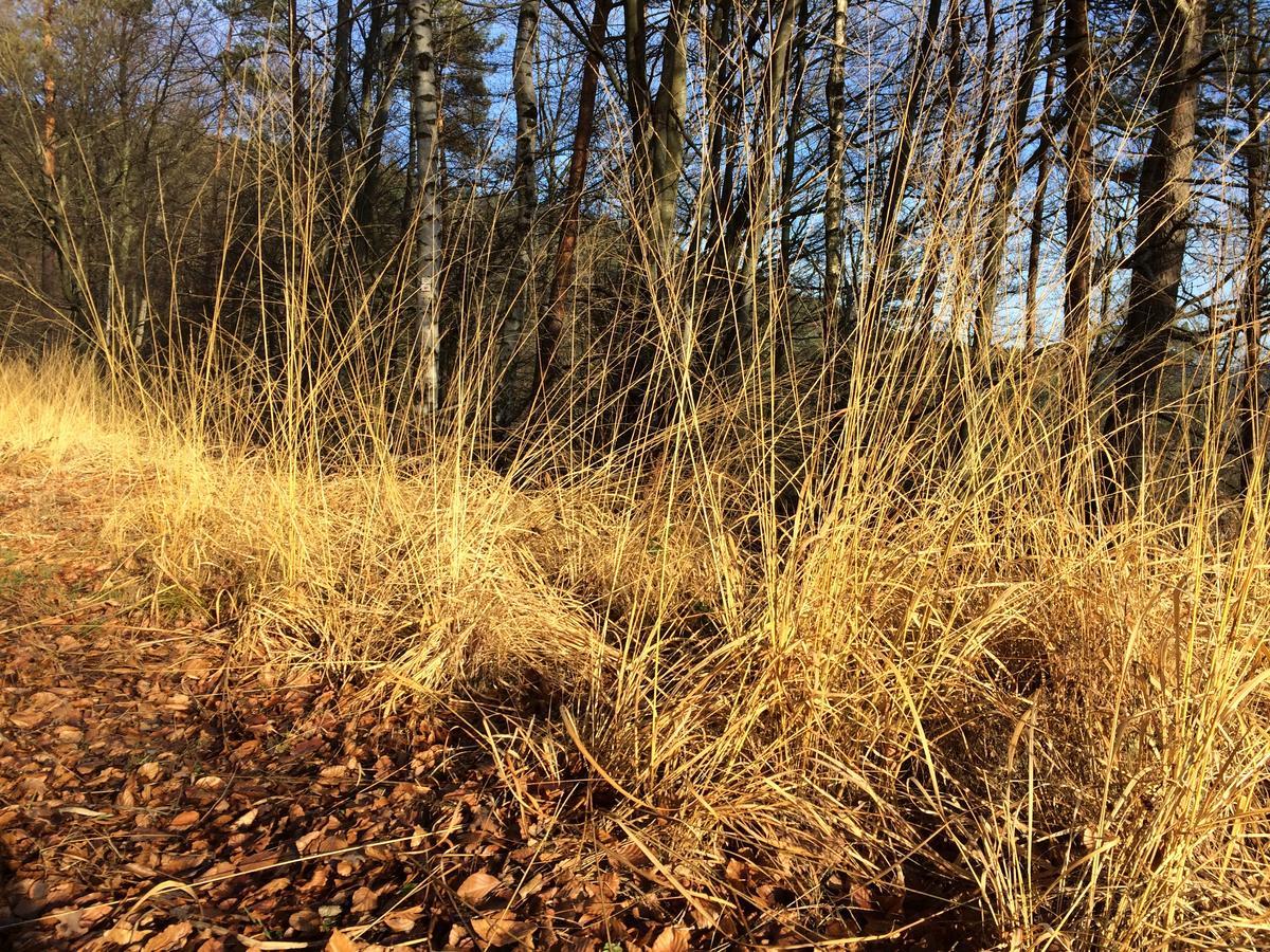 Un gîte dans la vallée Obersteinbach Extérieur photo